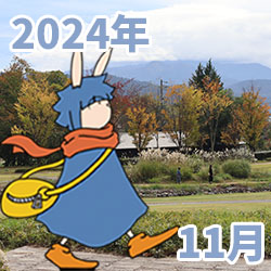 2024年11月