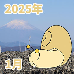 2025年01月