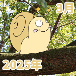 2025年03月