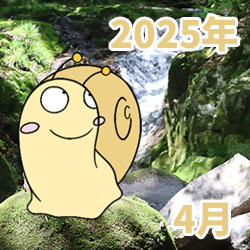 2025年04月