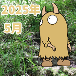 2025年05月