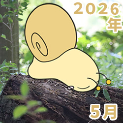 2026年05月