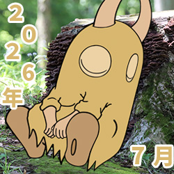 2026年07月